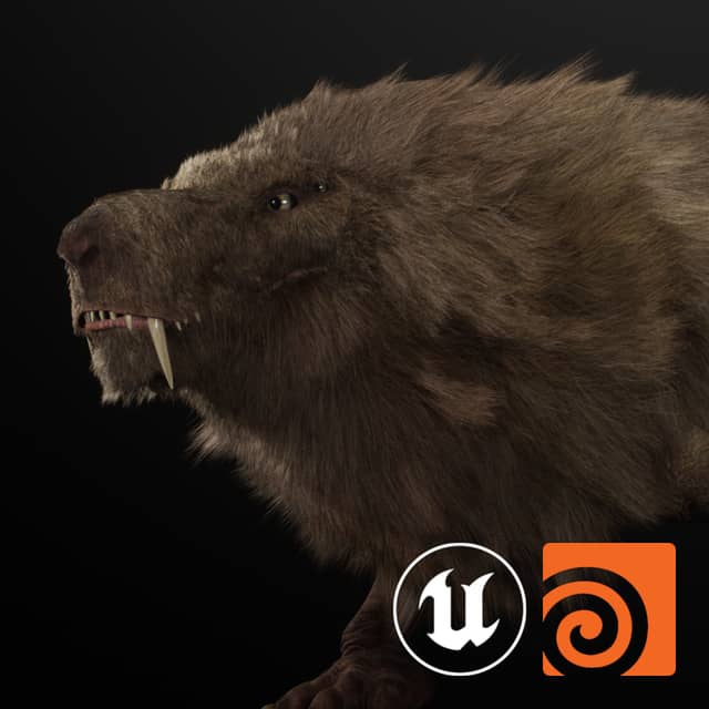VESSEL Creature Groom